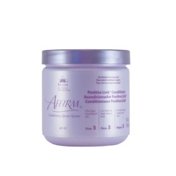 Positive Link Conditioner (16oz)