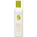 Botanical Detangling Shampoo (8oz)