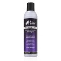 Easy On The CURLS - Detangling Hydration Shampoo